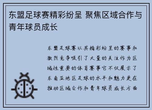 东盟足球赛精彩纷呈 聚焦区域合作与青年球员成长