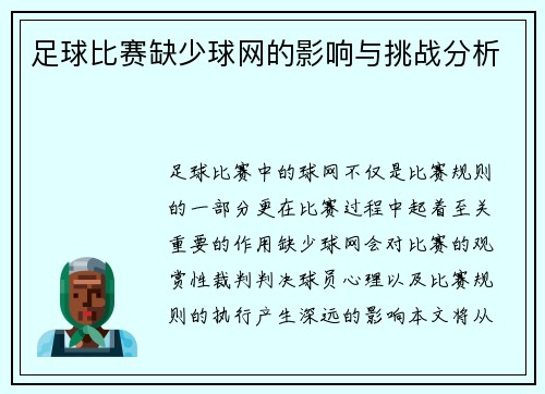 足球比赛缺少球网的影响与挑战分析