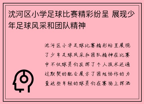 沈河区小学足球比赛精彩纷呈 展现少年足球风采和团队精神