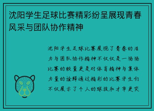 沈阳学生足球比赛精彩纷呈展现青春风采与团队协作精神