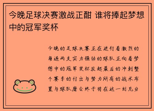 今晚足球决赛激战正酣 谁将捧起梦想中的冠军奖杯