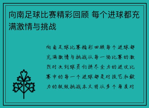 向南足球比赛精彩回顾 每个进球都充满激情与挑战