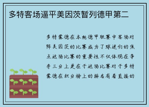 多特客场逼平美因茨暂列德甲第二