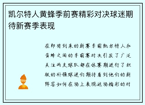 凯尔特人黄蜂季前赛精彩对决球迷期待新赛季表现