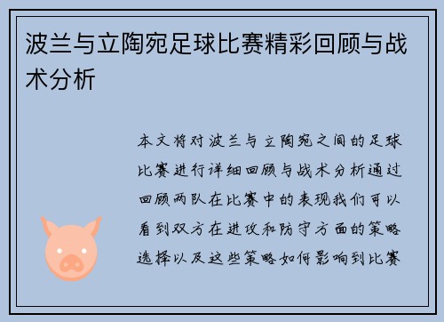 波兰与立陶宛足球比赛精彩回顾与战术分析