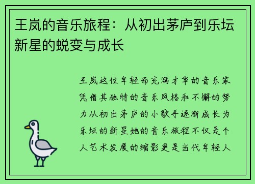 王岚的音乐旅程：从初出茅庐到乐坛新星的蜕变与成长