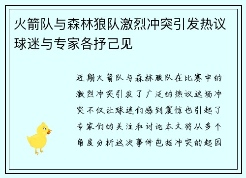 火箭队与森林狼队激烈冲突引发热议球迷与专家各抒己见